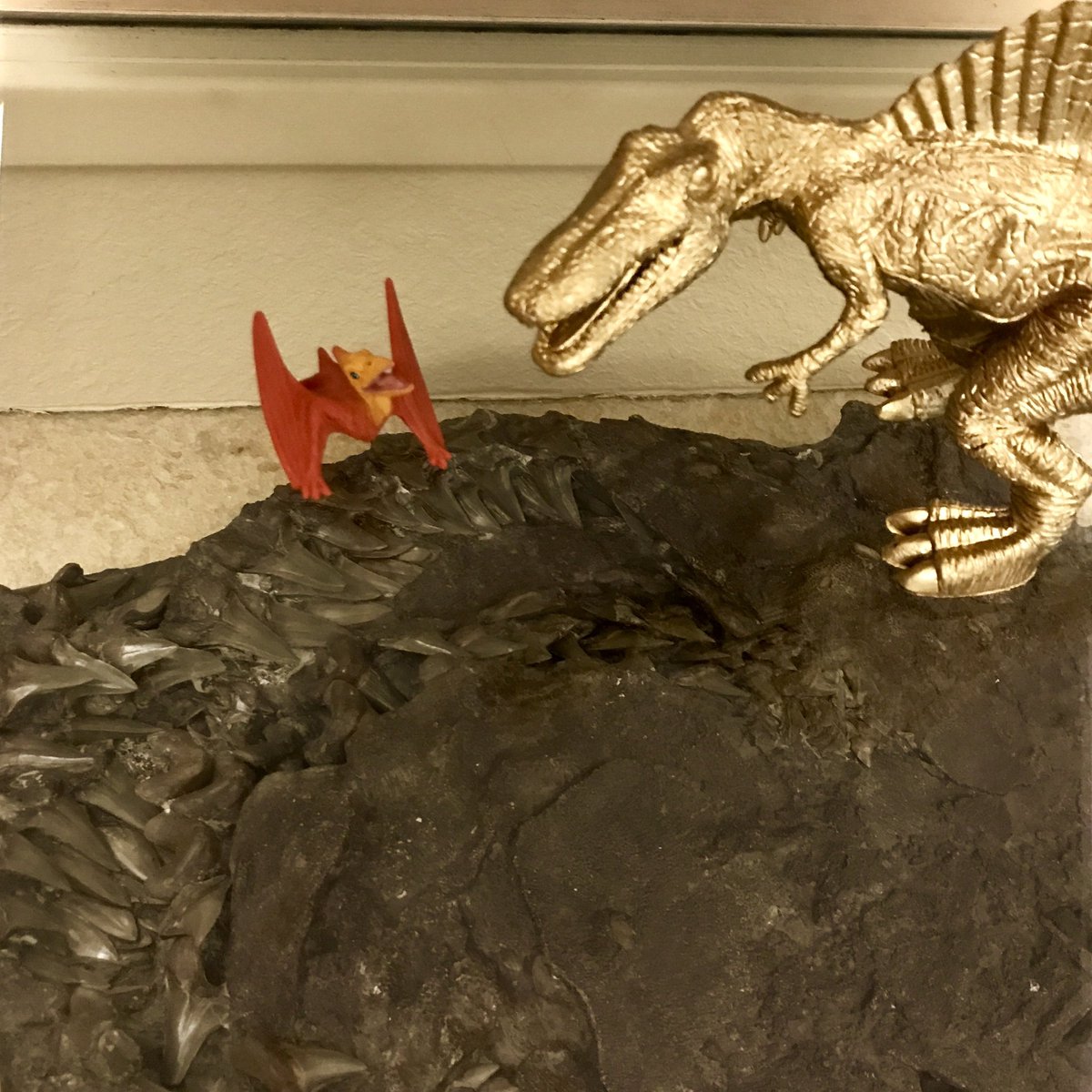 SternbergMuseum's tweet photo. #Ptarathepterosaur: See #sharkteeth and #vertebrae #fossilize well, but #Cretoxyrhina puts more calcium in their #cartiledge so it fossilizes too! https://t.co/RqYkq1Xjlc