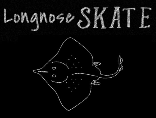 EDFOceans's tweet photo. Longnose Skate is an affordable and sustainable seafood choice that is great for soups, baking &amp; more. #EatTheseFish https://t.co/aoAeEzZIAk https://t.co/zOYAweF1uS
