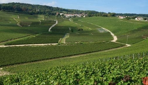 VanessaRenaudE's tweet photo. Looking for a DMC in @Champagne_CVB to organise experiences around the different spheres of champagne wines? Lucky you @OenoSpheres is coming to our Champagne networking event at @AviaryLDN #MICE https://t.co/8XvGRwLD69