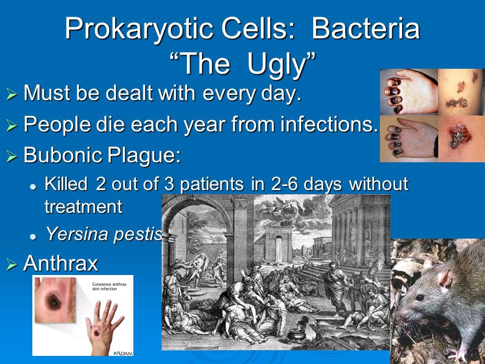 MitoCho4Nucleus's tweet photo. @membraneisbest @Mrs_Albaugh sorry we don’t REPERSENT the dirt of cell society https://t.co/xACJQ8Ntdx