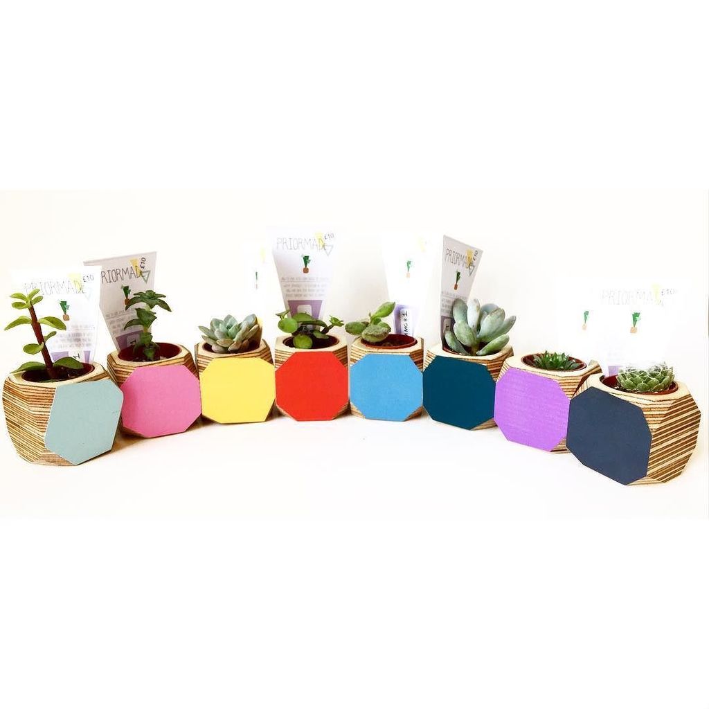 priormade's tweet photo. Well, all my #miniplanters have sold out at the @madeinbristolshops at the #architecturecentre #bristol. Deliverin… https://t.co/5bPVXEis0X https://t.co/O6w1LEoIBn