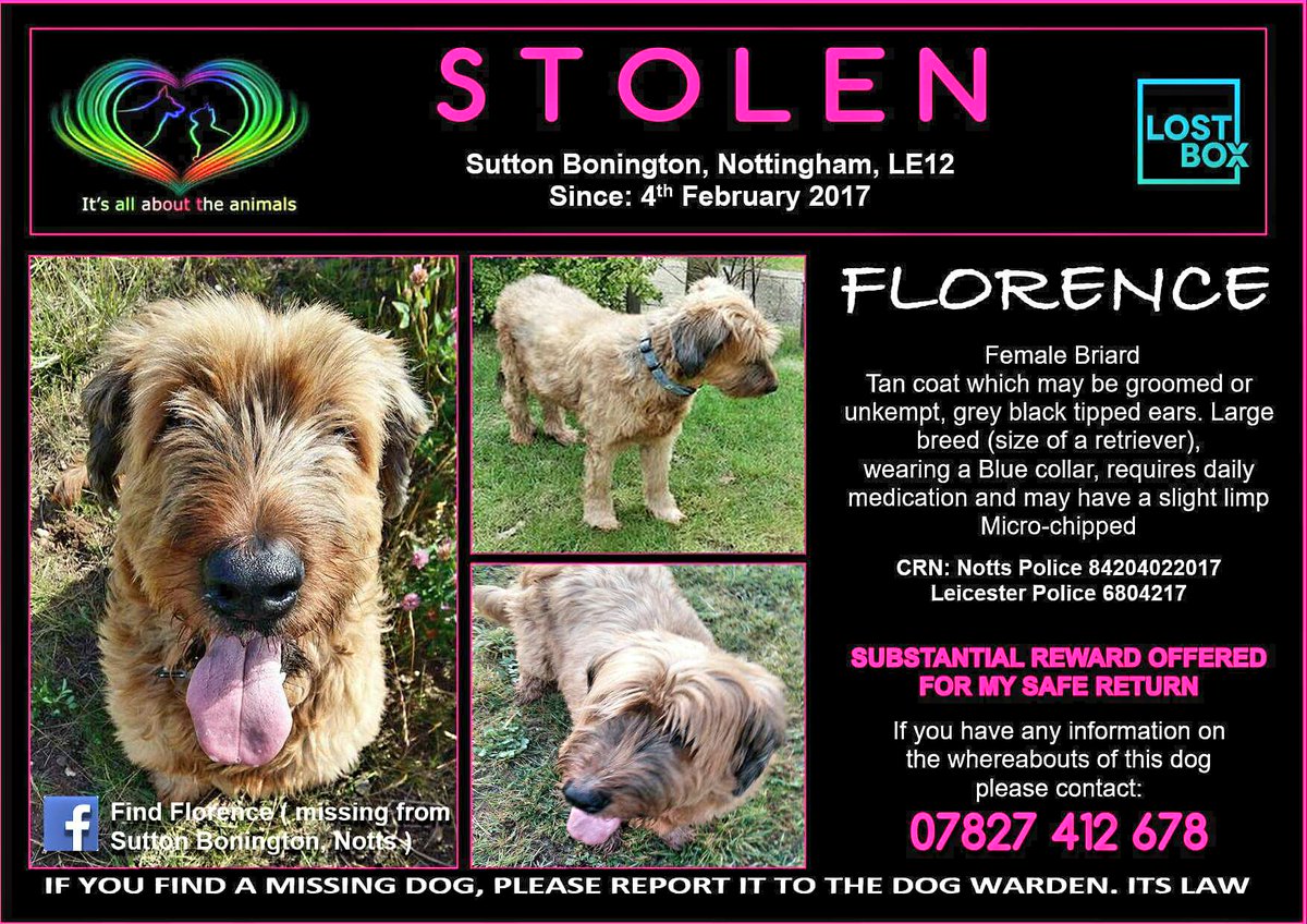 #FindFlorence tweet media