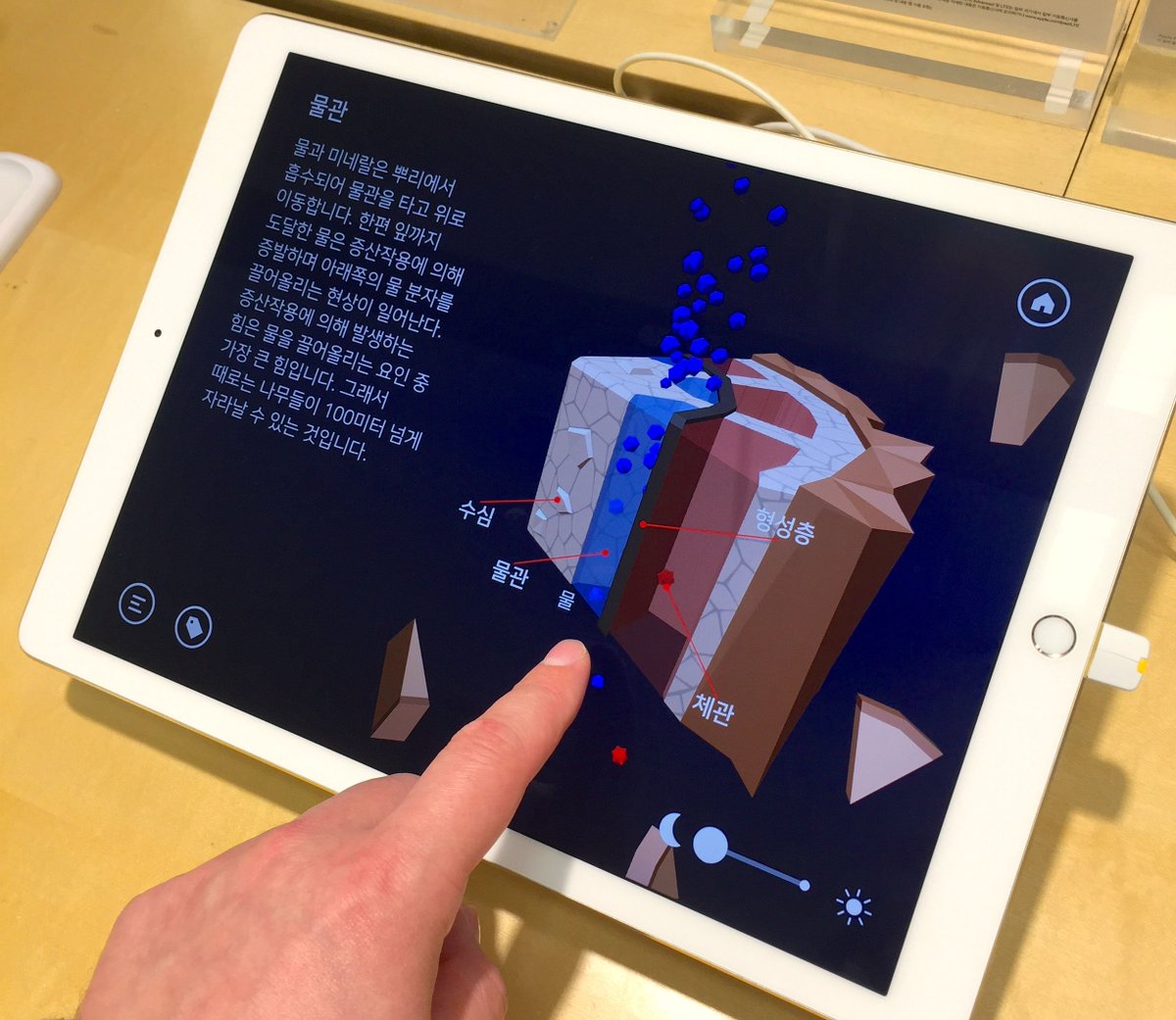 CrayonBoxKids's tweet photo. Check out NAMOO in the #AppleStore nearby! 🌳 NAMOO is a beautiful educational toy for #kids in the form of colorful app exploring plant science from #osmosis to #photosynthesis https://t.co/Gb0NlHrvZC
#stem #eduapps https://t.co/2s9JSo2P15
