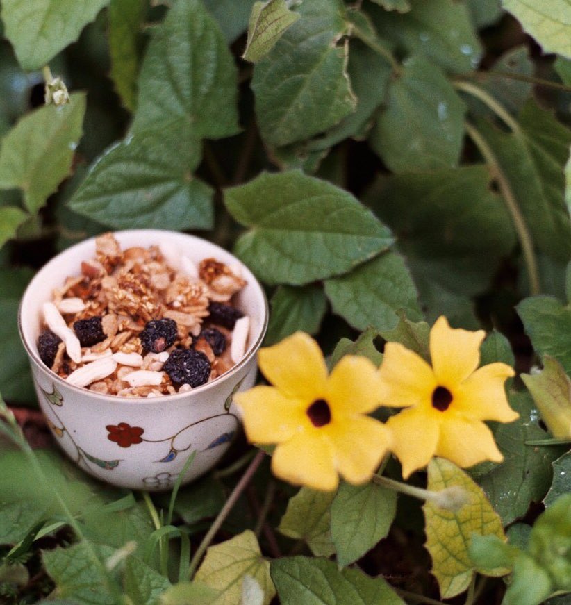 SusanadietaSem's tweet photo. ¿Que mejor idea que empezar un jueves soleado con nuestra riquísima granola con pasas de uva? 🍇  #susanadieta #sintacc #celiacos #glutenfree https://t.co/VCY9bV5WDe