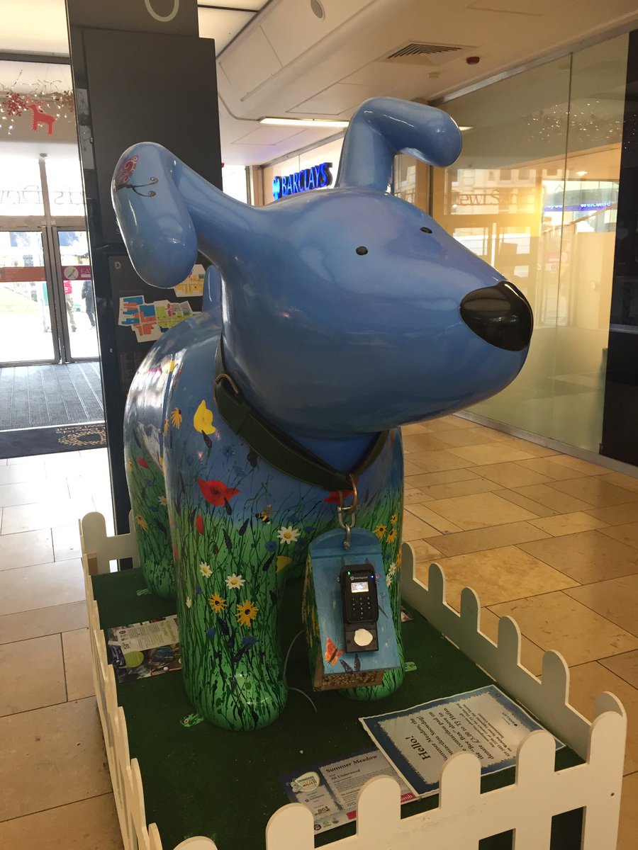 SumMeadSnowdog's tweet photo. I'm taking contactless donations for @tyhafan @SnowdogsWales - please make a £3 donation. Using technology from @BcardBusiness @payworks https://t.co/jn3x1PY7k3