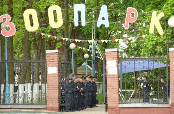 Наблюдатель (@veronsolen) on Twitter photo 