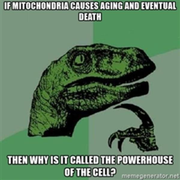 Cloutoplast1's tweet photo. #rmorganelles17 Vote for Chloroplast we help support life. https://t.co/yQhAc0iV6A