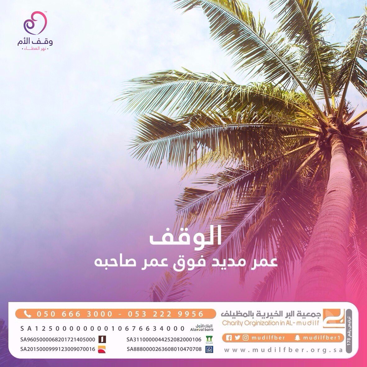 BedayaTv's tweet photo. الوقف 
عمر مديد فوق عمر صاحبه 🏘
@mudilfber 
#زد_رصيدك38 ✨ https://t.co/VVlMNw0nPd