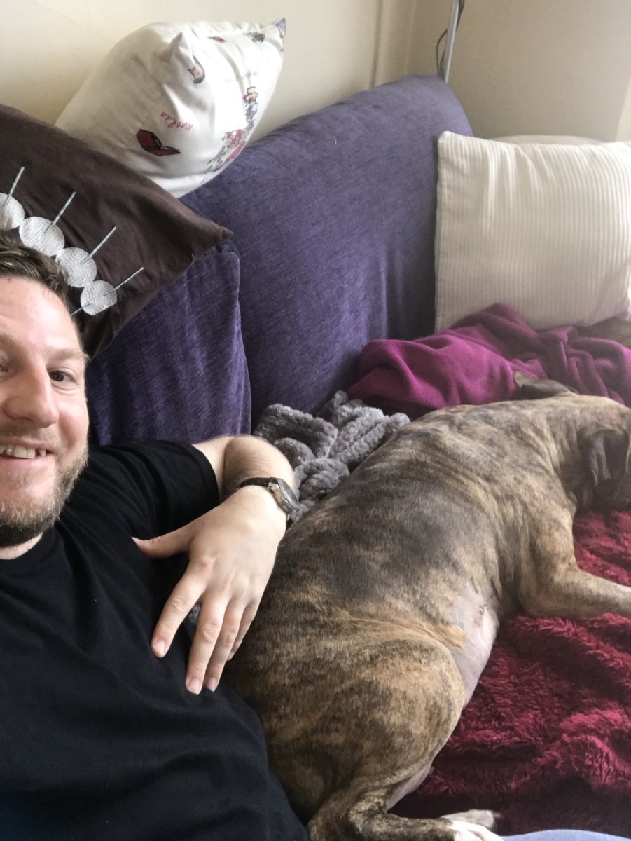 djlordy75's tweet photo. Back home looking after my poorly dog as she had a major op yesterday #lovemyshackster #somanystitches https://t.co/ZhhGdGRD6t