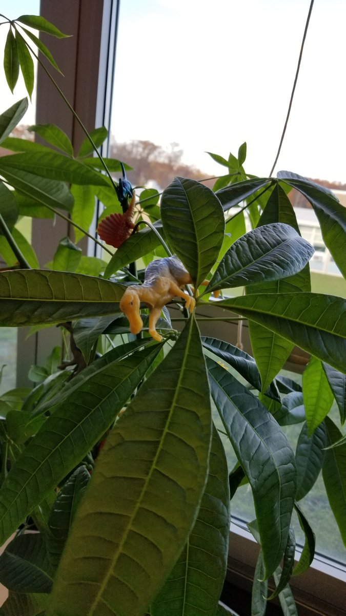 Andriulli's tweet photo. Vegetation Station! #Dinovember @bozescience @Mr_Ryerson https://t.co/m77SSH5s2O
