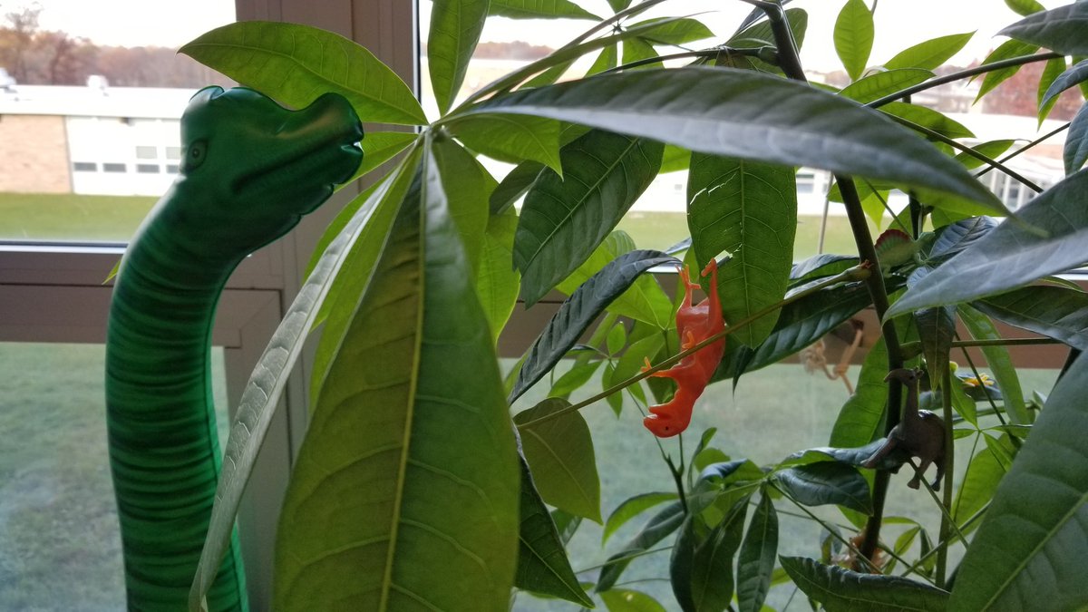 Andriulli's tweet photo. Vegetation Station! #Dinovember @bozescience @Mr_Ryerson https://t.co/m77SSH5s2O