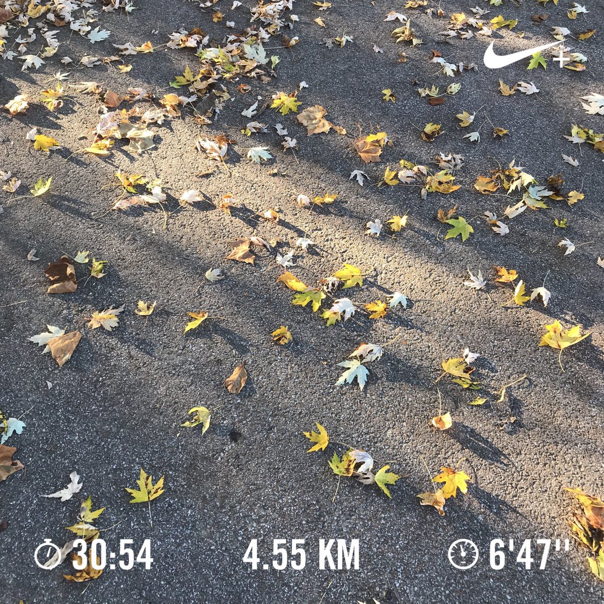 rodrigogp's tweet photo. Itβs #cold !!! Morning at 30Β° F #fenton #Missouri #below7 Ran 4.55 kilometers with #Nikeβ Run Club https://t.co/UA6810ltMc