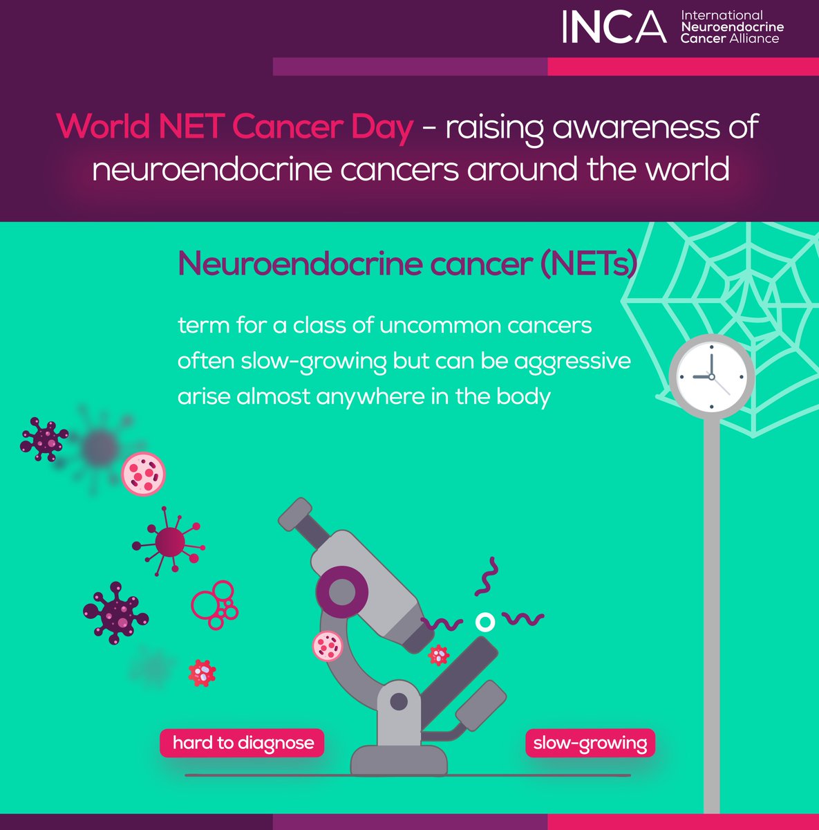 CarcinoidNETs's tweet photo. NET Cancer can be very hard to diagnose. Only one day to go until #NETCancerDay.  #LetsTalkAboutNETs and raise awareness! https://t.co/jcuDZ5OwNi