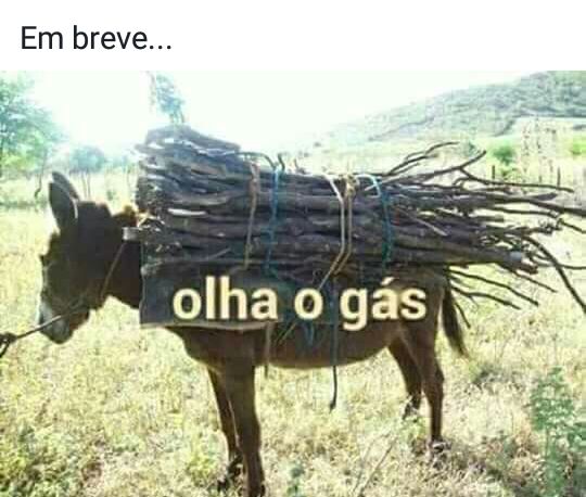 walt freitas (@walterfreitass) on Twitter photo 