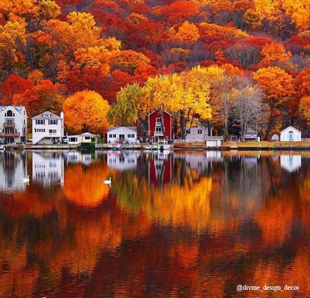 Isn’t this a breathtaking fall pic!?! Share the beauty 😊