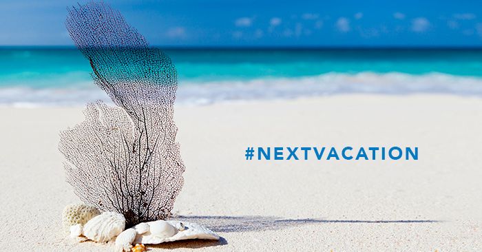 caicosexpress's tweet photo. Your #NextVacation starts with #CaicosExpress: https://t.co/30lyCJKaGN
#Vacation #Travel #Caribbean #TurksAndCaicos #Tourism #Wanderlust https://t.co/EmMgtxCFCQ