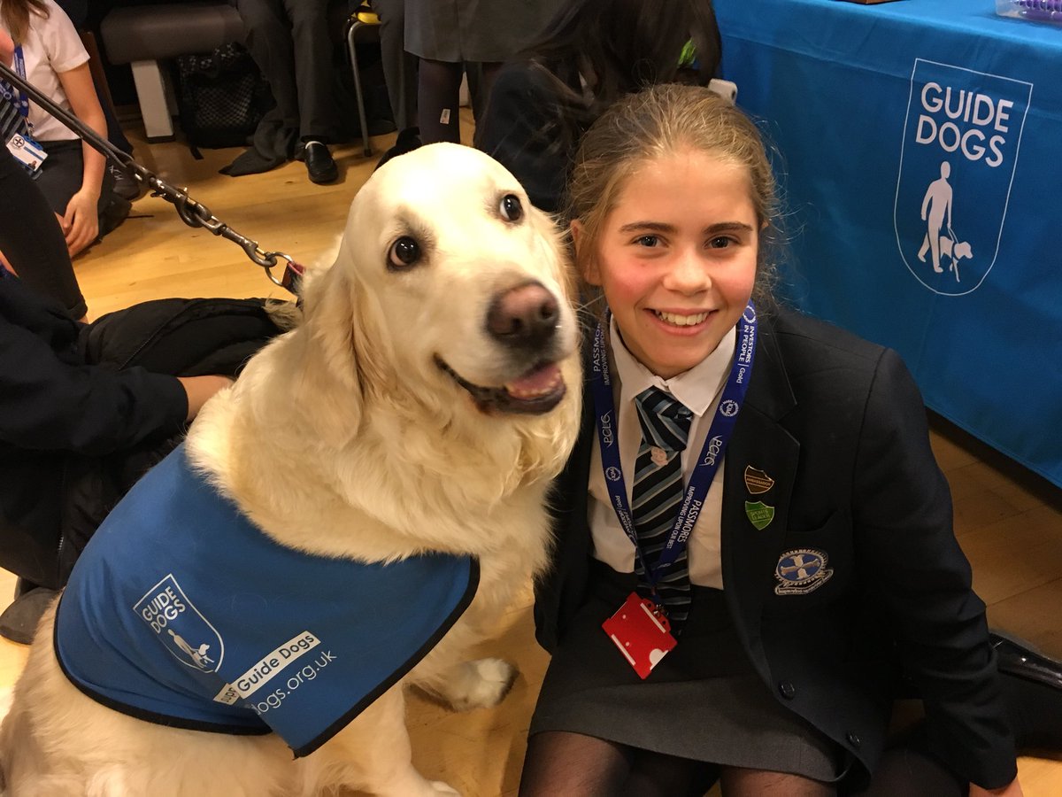 MrsHRMcGee's tweet image. Thank you @guidedogs for enlightening us for our Aspire day #SupportGuideDogs