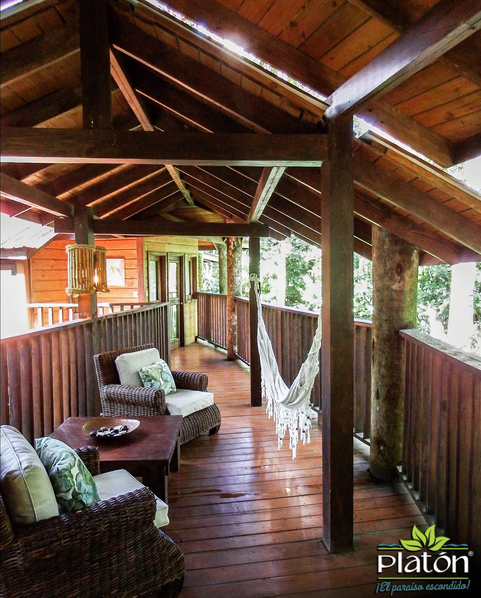 platonecolodge's tweet photo. #casaenelarbol #treehouseview #treehouse #treehouseliving #treehouselife #cabinfever #palmas #palmtrees #nature #naturelovers #instanaturelover #ranchoplaton #ecoresort #barahona #barahonard #elsureshermoso #dominicanrepublic #turismointernord #visitdominicanrepublic https://t.co/4FJvhkxA5f
