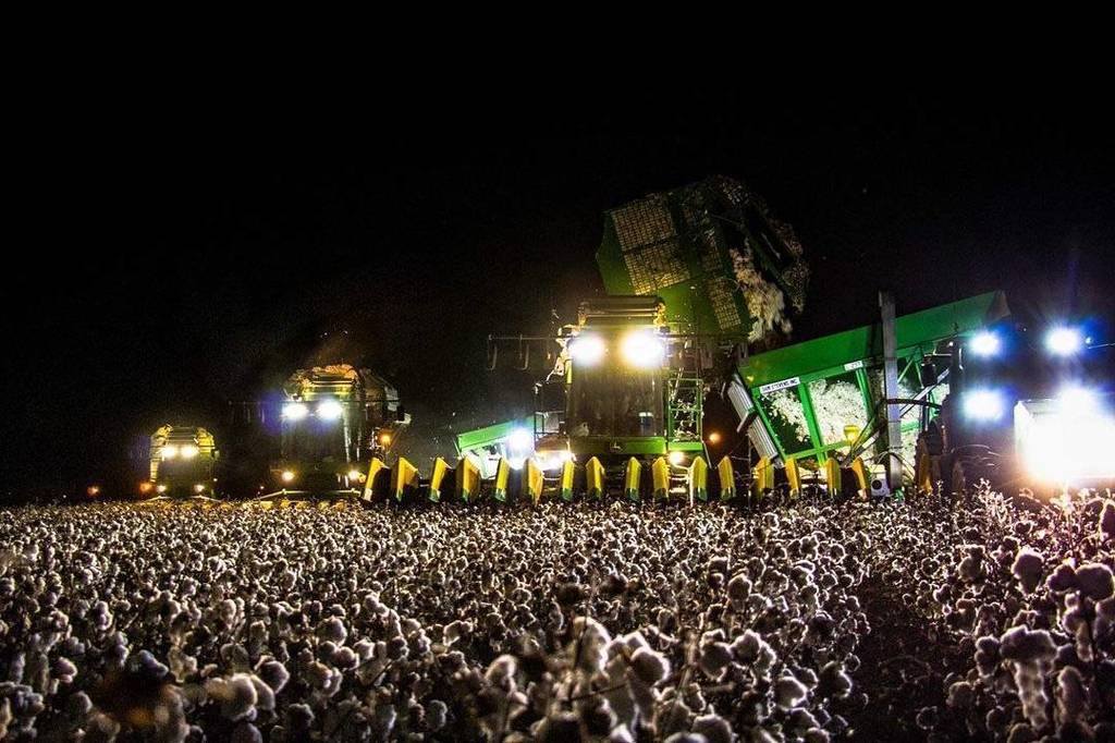 tslesfestivals's tweet photo. #Illusion | Quand ce qui semble être un énorme festival est en réalité la photo d'un champ de coton, magique. https://t.co/8U4eFMqt1o