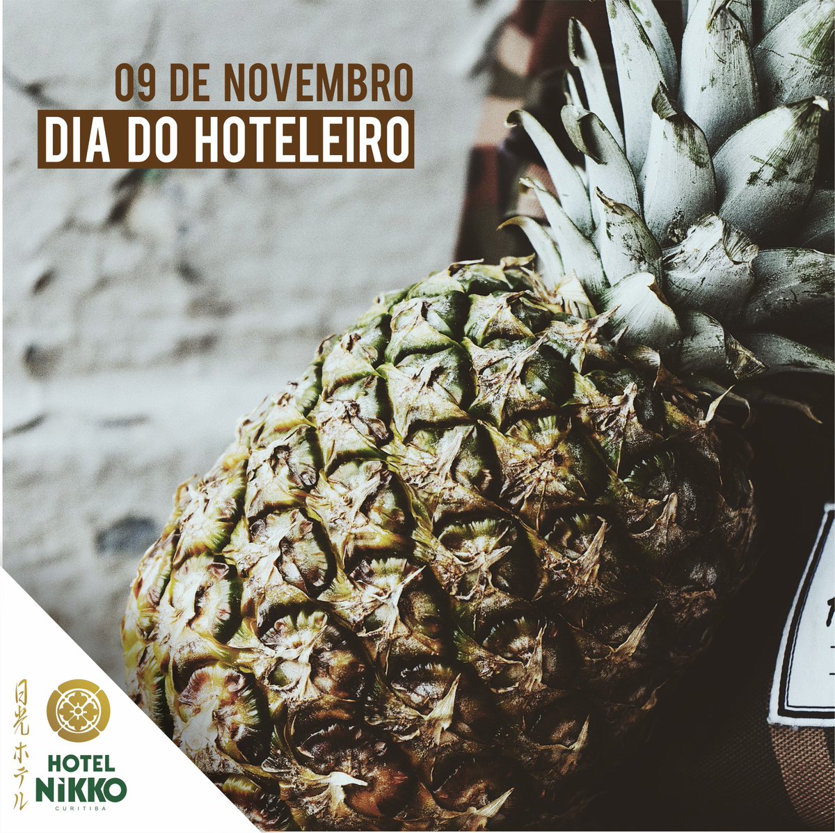 9 de novembro - Dia do Hoteleiro
Uma homenagem a todos os nossos colaboradores e colegas de profissão que sabem o significado de bem recebe…