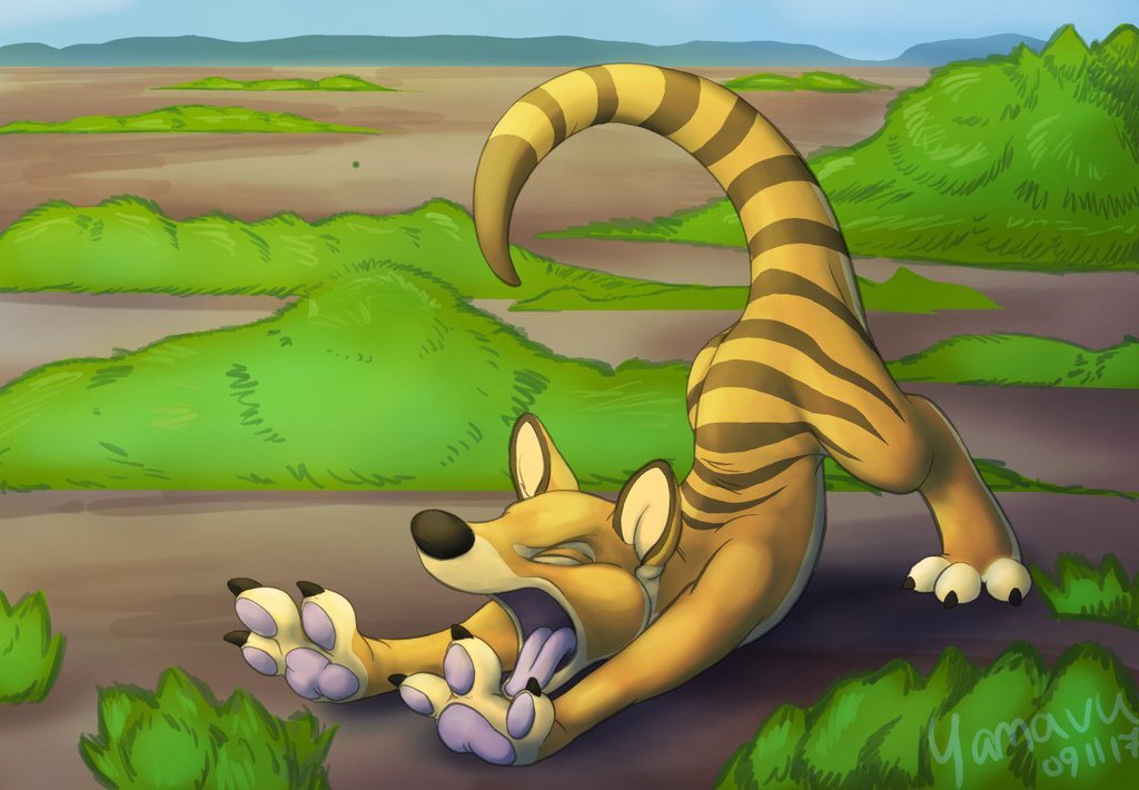 yamavu's tweet photo. good morning thylacine #thylacine #quickshade #krita https://t.co/6MaW2Dflqn