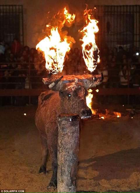 Фото медного быка. Зажаривание в Медном быке.