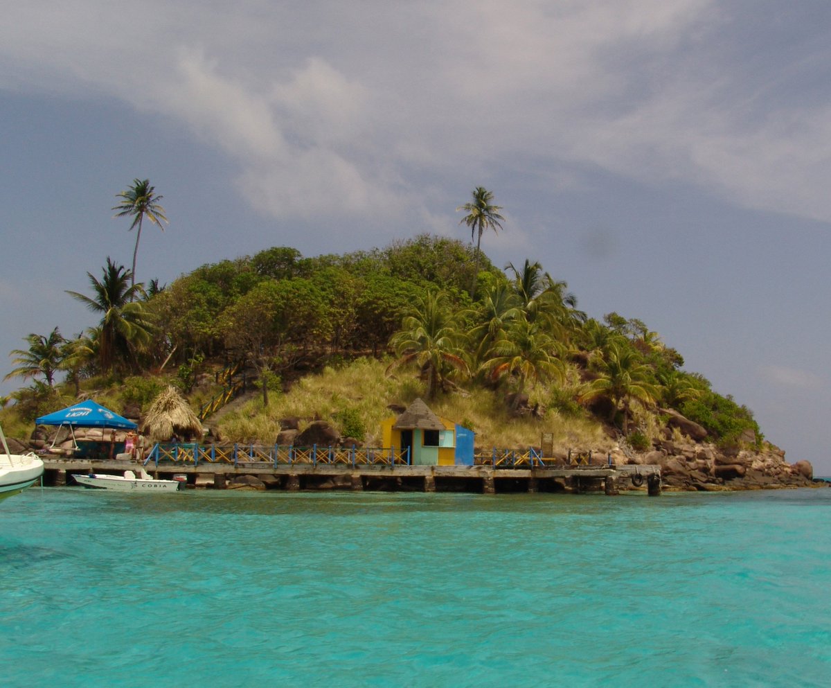 ¿Sabías que Colombia posee 59 áreas naturales pertenecientes al Sistema de <a href="/ParquesColombia/">Parques Nacionales Naturales de Colombia</a>? #DíaDeLosParquesNacionales