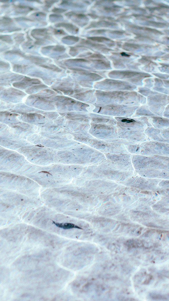 تويتر \ Phone Wallpapers على تويتر: تويتر \ Phone Wallpapers على تويتر:
