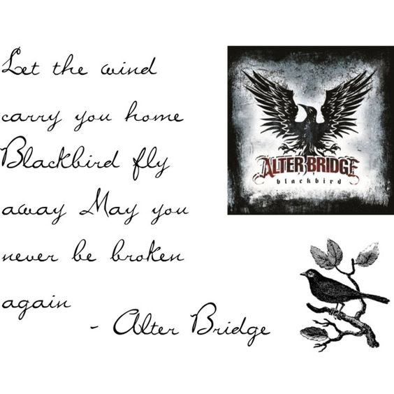 ann_vz's tweet photo. "Let the wind carry you home
Blackbird fly away
May you never be broken again"
#backbird @alterbridge @MylesKennedy @MarkTremonti @Scott_Phillips
#pinterestautorcopyrights https://t.co/Ah7LW9xZtC