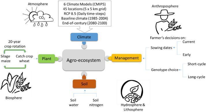 BioModelling's tweet image. In this study, scientists used multi-crop rotations in place of isolated monocultures to better represent local production systems and its adaptation to #ClimateChange in #NZL. #APSIM #RCP Read here : buff.ly/2Av6kad