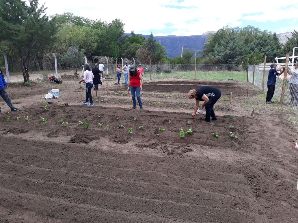 AmbienteSanLuis's tweet photo. Acompañados por alumnos de la institución educativa, el Ministerio construyó una #huerta en la Escuela Nº 259 "Vicedirector Jesús Toribio Lucero" de Leandro Alem.
#SanLuis #Campo #Producción https://t.co/Pk0a0wQwtN
