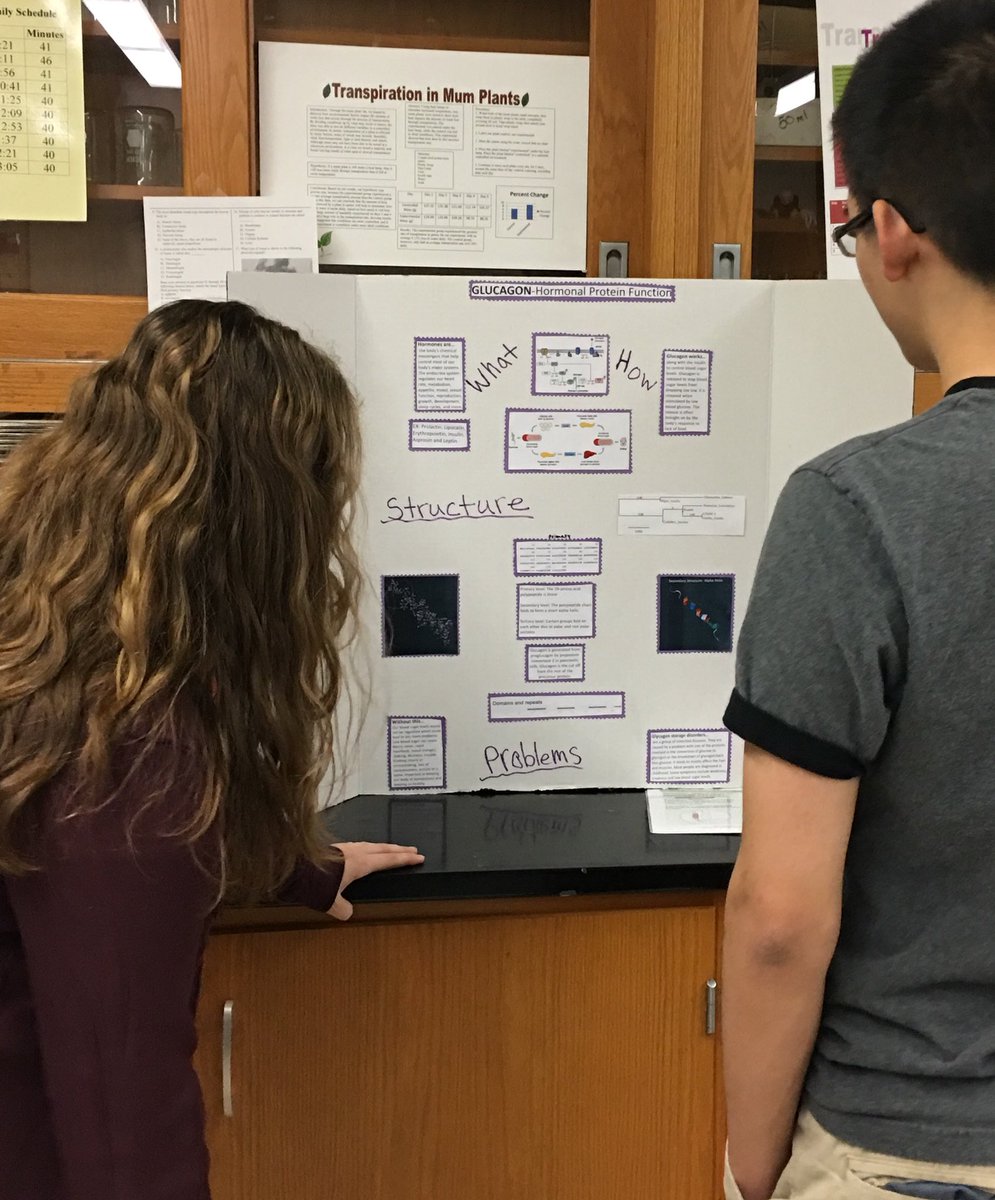 cullock's tweet photo. Protein poster session yesterday! Kids did a great job connecting structure to function. https://t.co/ir3nCeSdFh