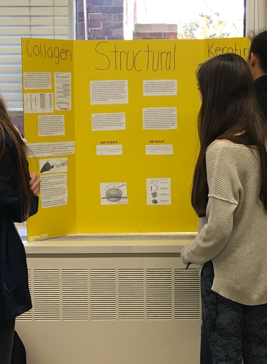 cullock's tweet photo. Protein poster session yesterday! Kids did a great job connecting structure to function. https://t.co/ir3nCeSdFh