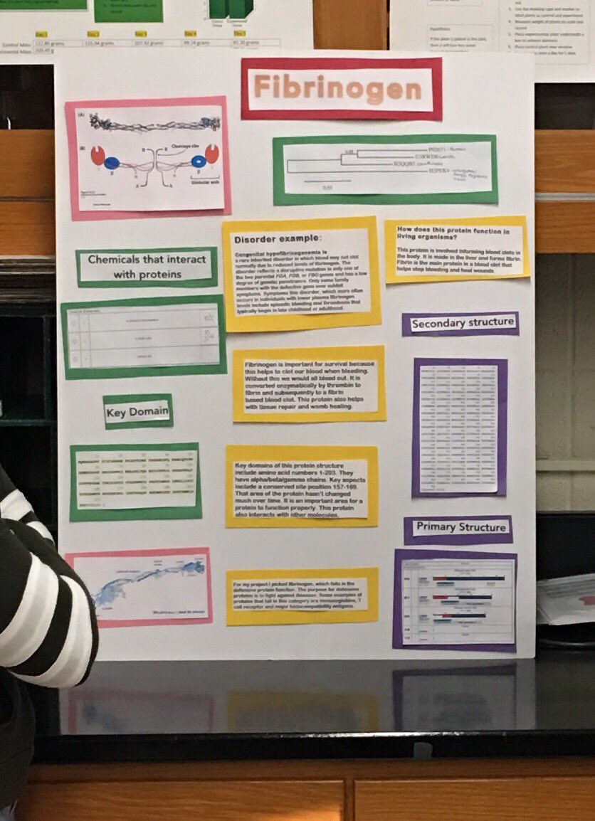 cullock's tweet photo. Protein poster session yesterday! Kids did a great job connecting structure to function. https://t.co/ir3nCeSdFh