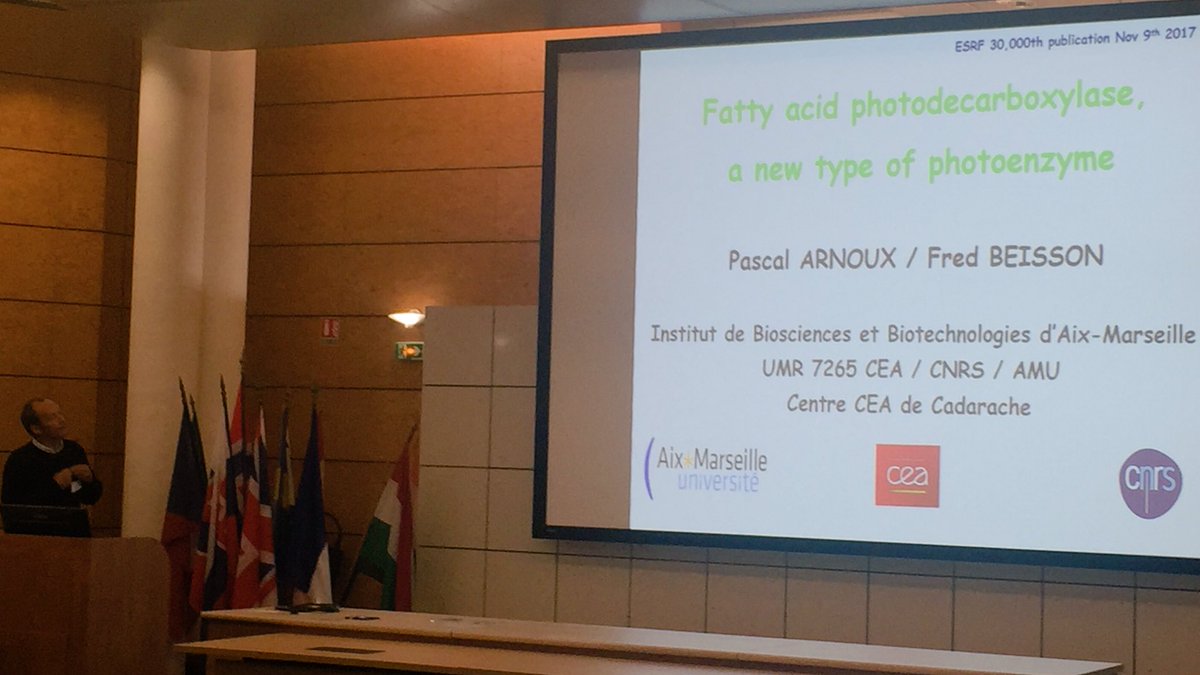 esrfsynchrotron's tweet photo. « Fatty acid photodecarboxylase, a new tupe of photoenzyme » one of the two 30000th #ESRFusers publications, now presented at #SAC https://t.co/KbdBC8uOvF