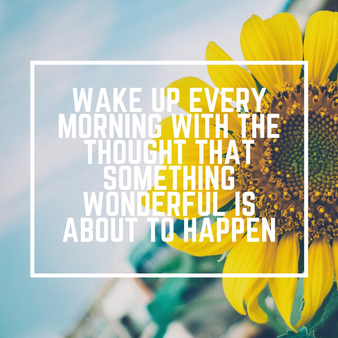 APTacious's tweet photo. Your day is likely to end in a similar manner it begins. Why not start out on a positive note? #aptacious #sunflower #morningthoughts #positive https://t.co/6DNKJlXpLc