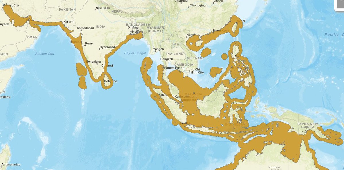 john_p_rafferty's tweet photo. The range of the #winghead #shark (Eusphyra blochii) acc. to the #IUCN https://t.co/xRfzWei4vC Hammerhead sharks from #Britannica : https://t.co/XJD5DkKQ77  HT @AlistairDove &amp; @RTPallardy #conservation #sharks https://t.co/IHL0fj2m0x