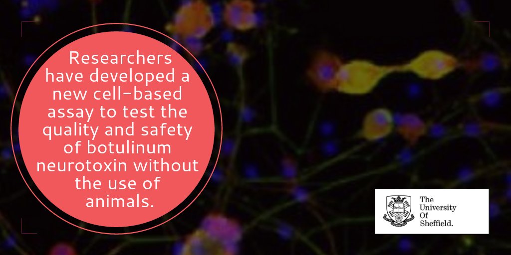 Science at Sheffield tweet media