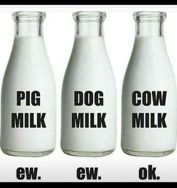 herbivore_club's tweet photo. November is #WorldVeganMonth time to discard the excuses &amp; look at the enormity of the issues #ThursdayThoughts #veganhour #GoVegan https://t.co/rue6UO2mqd