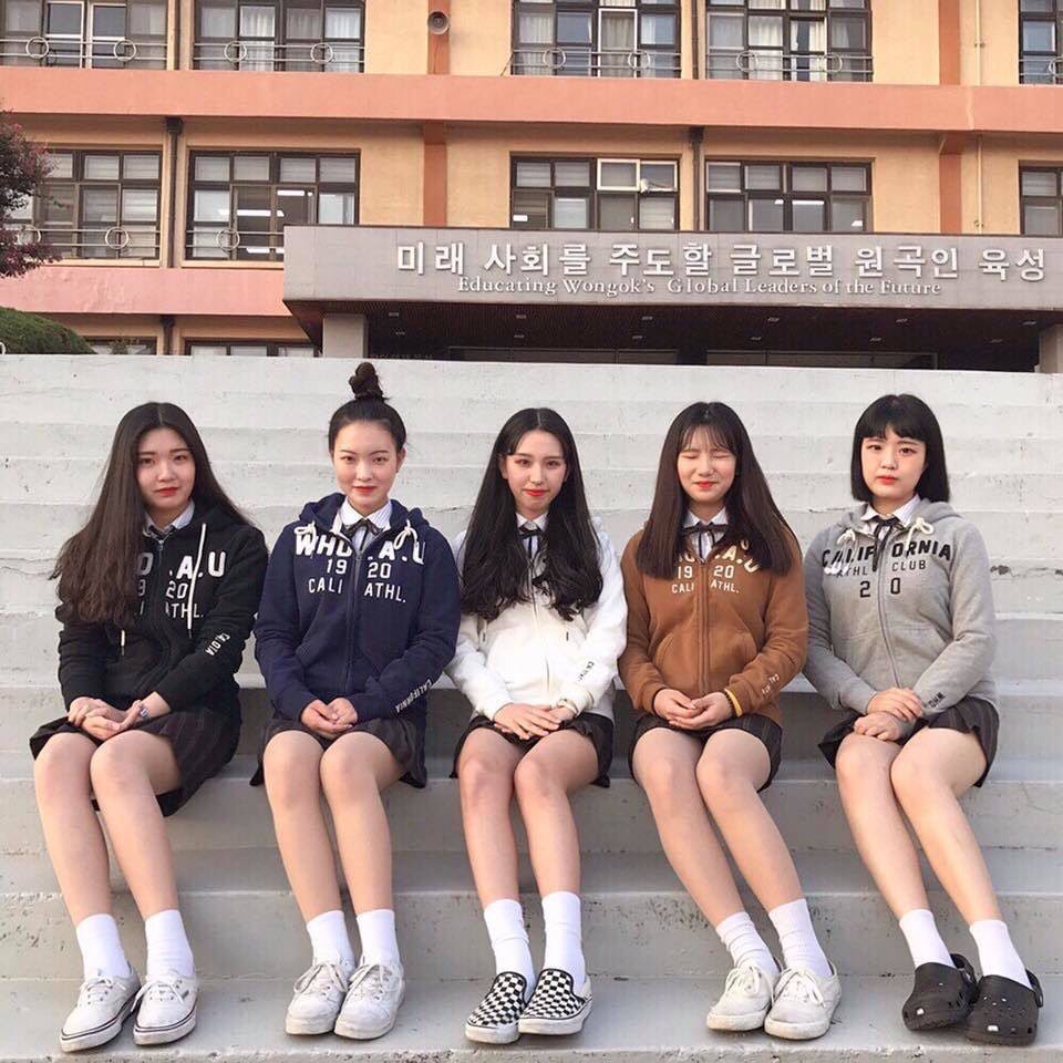 Pipikorea Pipikorea Twitter Pipikorea Pipikorea Twitter