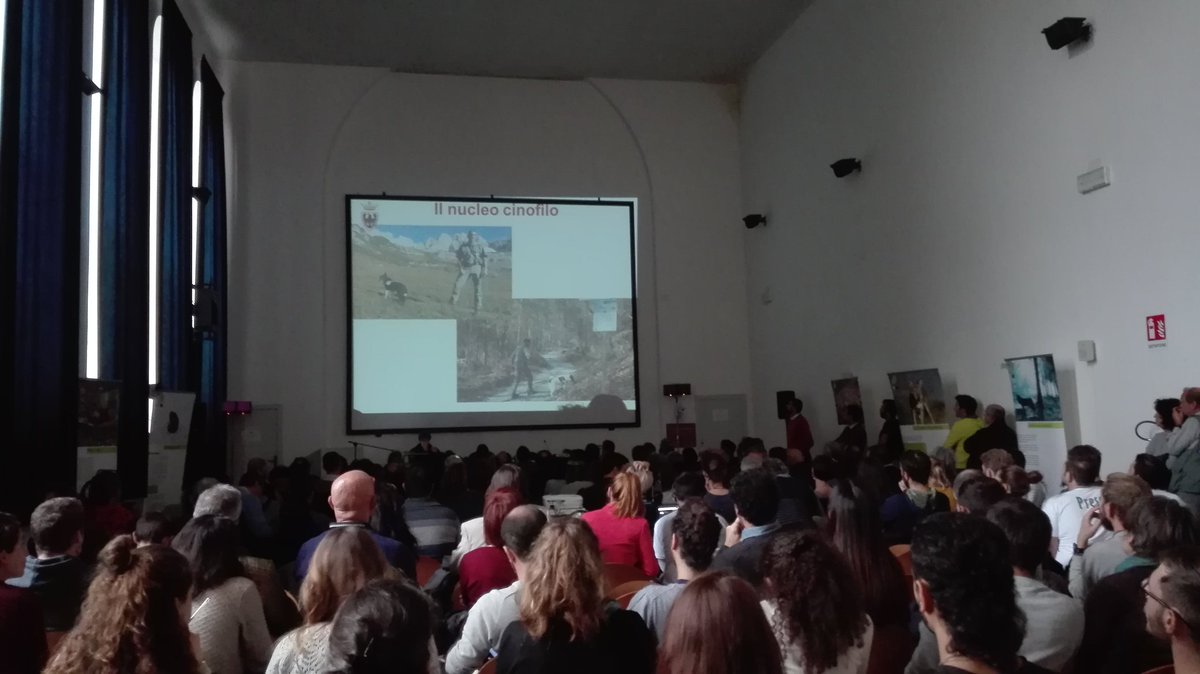 lifemedwolf's tweet photo. "Dal 2003, il Programma nazionale Svizzero di Prevenzione per prevenire i danni nella produzione di ovini e caprini finanzia gli indennizzi per gli allevatori, il coordinamento ed il miglioramento delle misure", Daniel Mettler. #medwolf #9Novembre #Svizzera https://t.co/UVwNSq7yGW