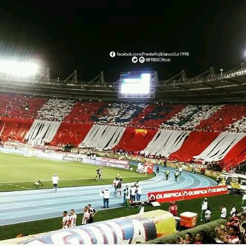 AndresPB1981's tweet photo. ¡Noche de gala en el coloso: Campeones! 🏆 Crónica, y destaque especial: https://t.co/IuZ82do4Dp 🔴⚪️🔵 https://t.co/z0tM0ZL49M
