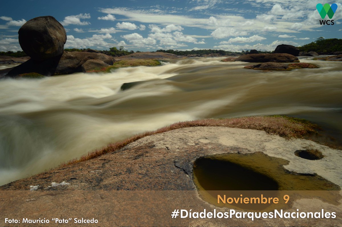WCSColombia's tweet photo. ¡Hoy celebramos el #DíadelosParquesNacionales! 
PNN El Tuparro (Vichada). Único parque nacional que existe en la altillanura colombiana. Principal área protegida de la Reserva de la Biósfera. https://t.co/fjQZJSyB3W