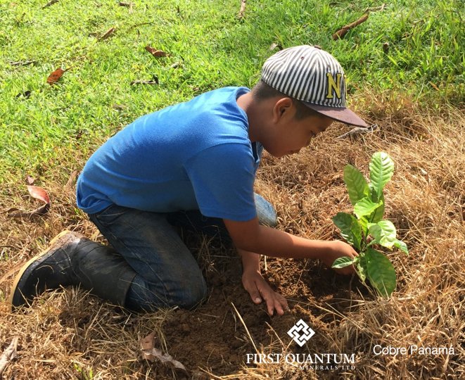 Cobre_Panama's tweet photo. ¿Has escuchado alguna vez sobre la #agroforestación? En #CobrePanamá hemos implementado el sistema de #Agroforestación que combina la #reforestación y la agricultura. Con este programa se han #reforestado más de 500 hectáreas de potreros que antes eran usados para la ganadería https://t.co/a7K6hukVdY