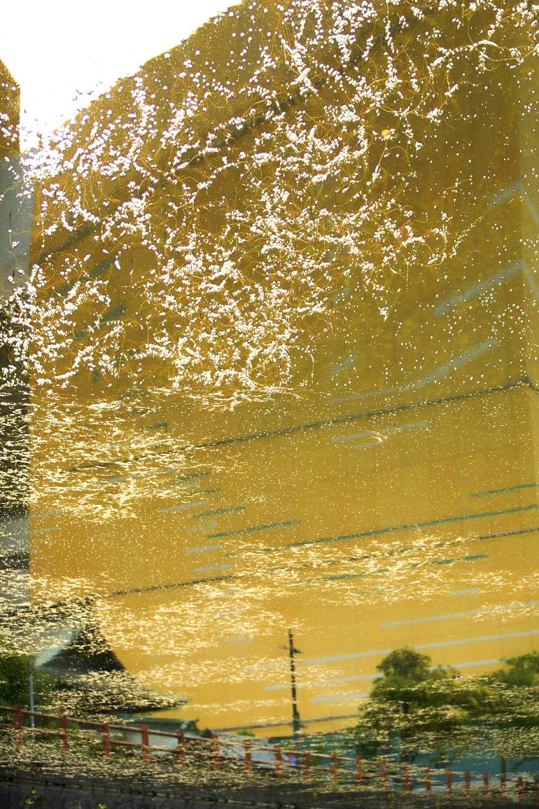 JoeChanTaiwan's tweet photo. The tale of Genji by Joe Chan
Size: 18.2 H x 12.1 W x 0.1in
You can buy it
https://t.co/3IwmSUGgEK

#art #artwork #abstract #gold #japan https://t.co/9kpGQ3gIwC