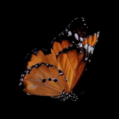 dashnverve's tweet photo. #NewMusic An intriguing sonic blend of near arctic warmth on the #Audur track 'I'd Love' https://t.co/oJpkwpjtxQ https://t.co/TMrxtScIjd