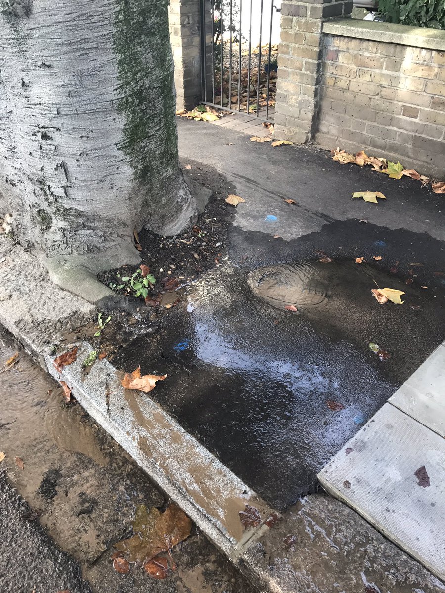 alexandrajkeith's tweet photo. 3wks after first reported the water is now flowing out of the tarmac and the manhole!! @thameswater @LBofHounslow #chiswick #waterwaste #w4 https://t.co/tK9P8j8IoH