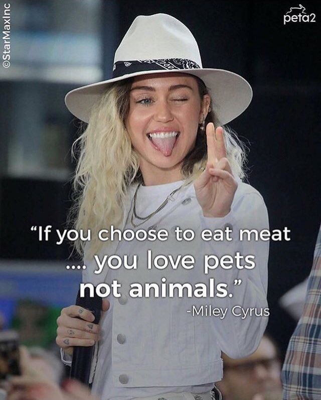 ranting vegan tweet media