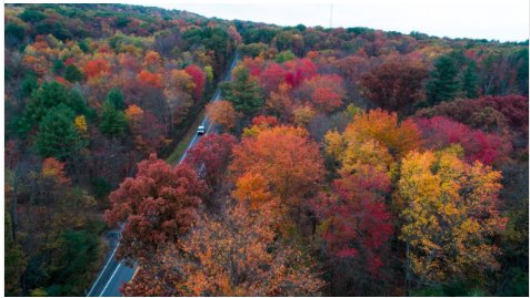 BinTechPartners's tweet photo. There are a lot of #scientists saying “I told you so” right now about the upcoming #Winter months. Here's why: https://t.co/ayxsSYlwQg https://t.co/w0wPNcf6IM