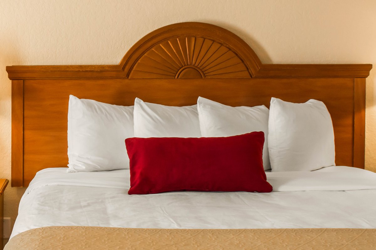 We take special care to ensure your #Choice accommodations are cozy, clean, and comfortable while you spend #QualityTime on #ClearwaterBeach! 😍🛏️🛋️🛁🚿🌊☀️⛱️🌴😎🍹🍺🍴🎶🌅 #TampaBay #StPete #TropixBeachBar #32ozrumrunners #localmusic